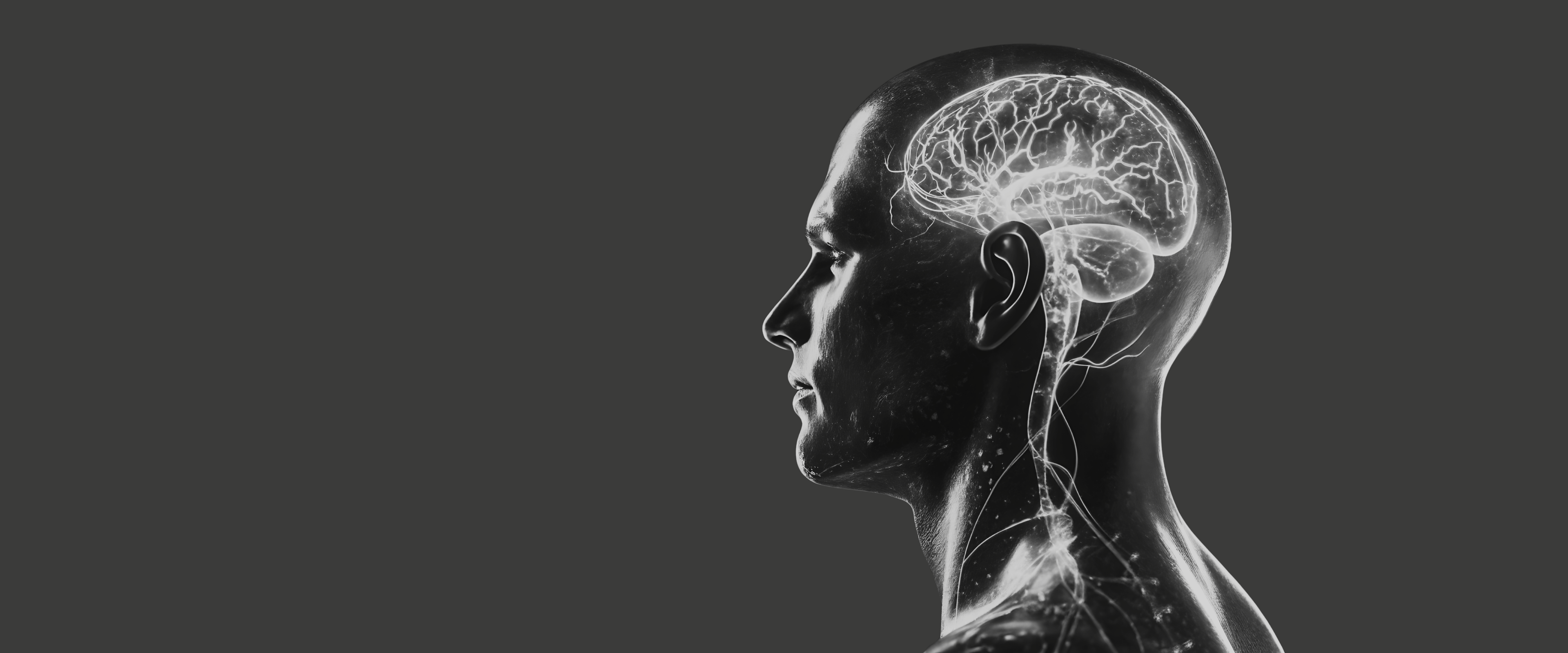 Creatine Monohydrate and Brain Function