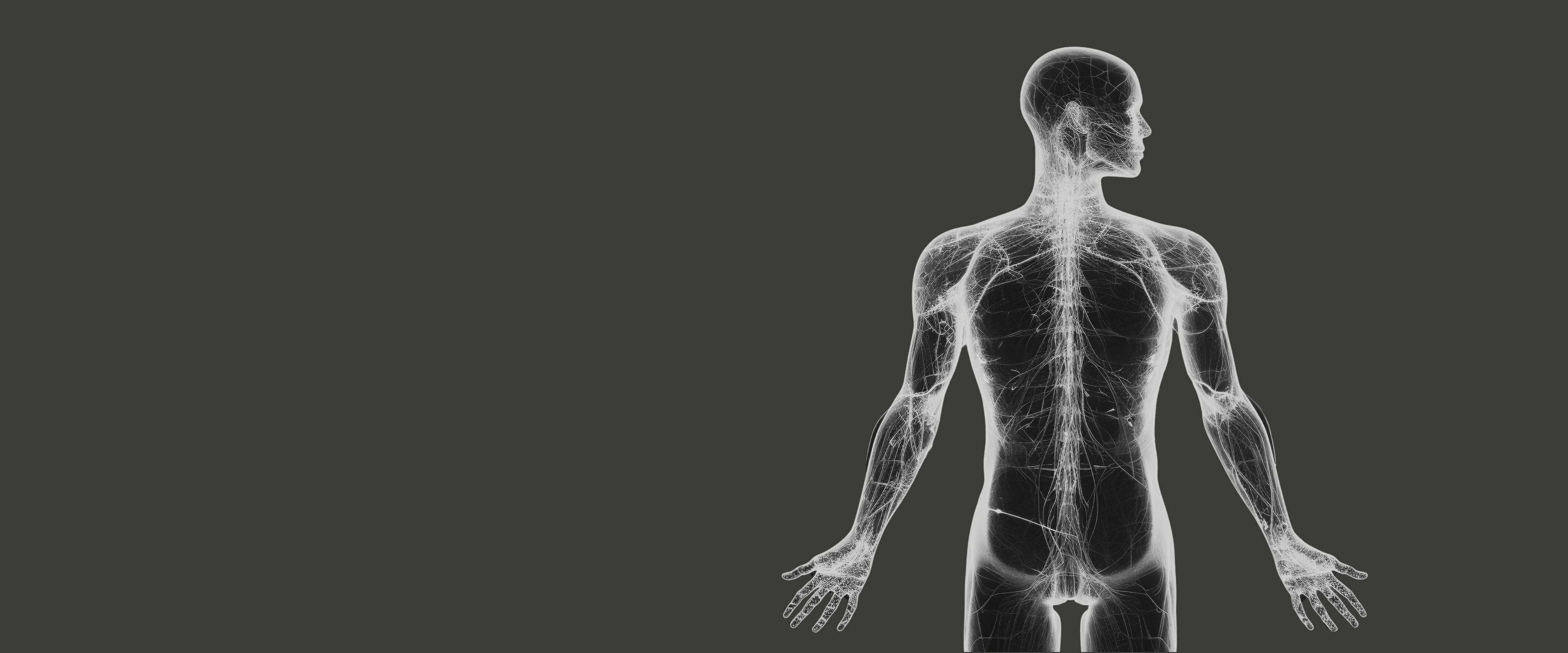 Creatine Monohydrate for Strength & Body Composition